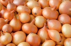 soğan görselleri ile ilgili görsel sonucu