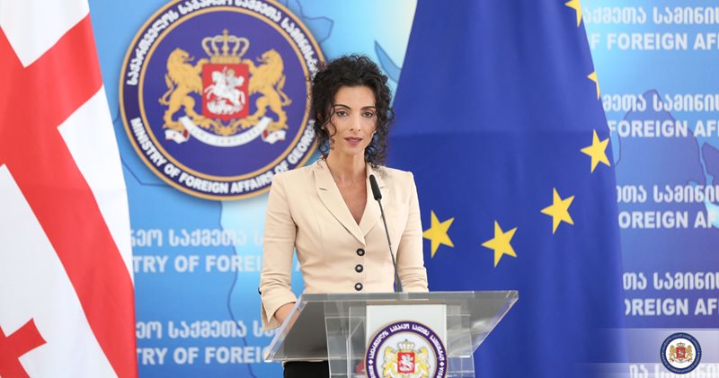 Gürcistan'dan''Diaspora Mensupları Girişimleri Destek Programı” açıklaması!