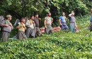 Gürcistan'da çiftçiler 20 yıl boyunca sulama ücretlerinden muaf tutuldu