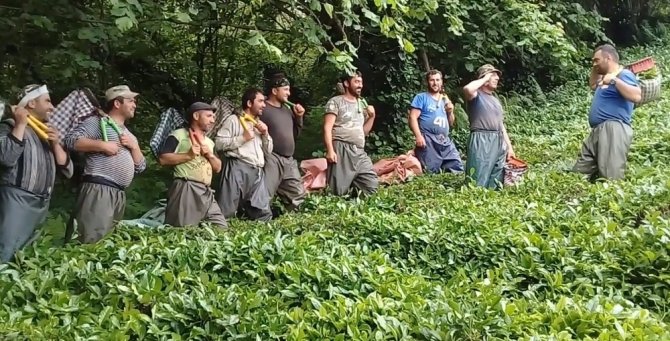 Gürcistan'da çiftçiler 20 yıl boyunca sulama ücretlerinden muaf tutuldu