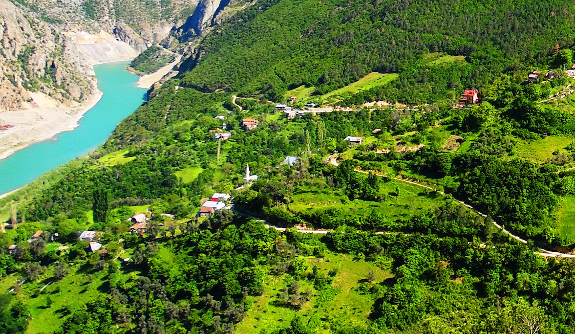 NADZVİA / Gürcüce: ნაძვია; okunuşu: “nadzvia”