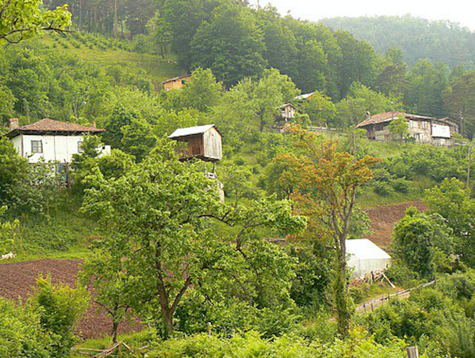 AVANA (Gürcüce: ავანა; okunuşu: “avana”)