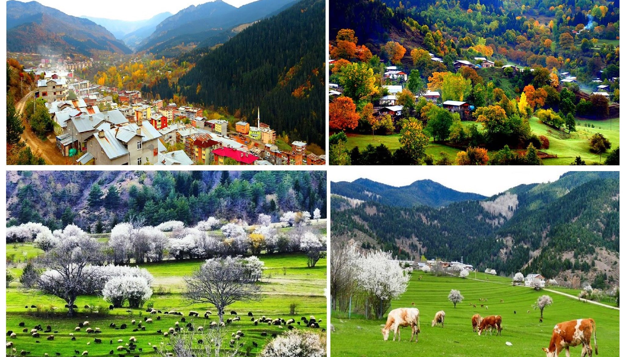 Şavşeti / შავშეთი