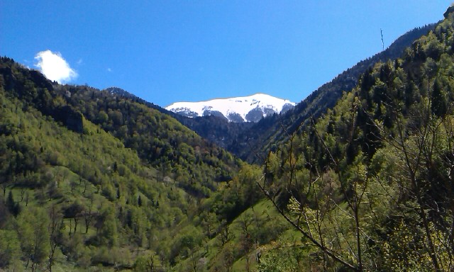 იფხარკალა, დაკაწრა, დაჩხაპნა, დაკბინა...გაბაწრული, ნაცემ-ნაბეგვი და გულგახეთქილი ნავის კუთხეში მიაგდეს...