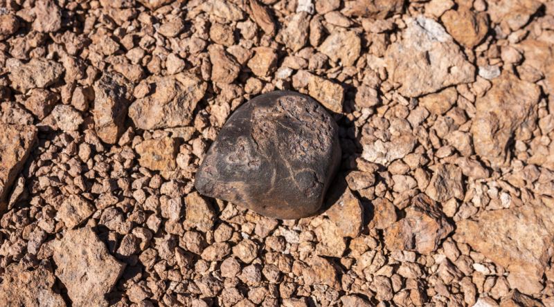 ქართველი რეჟისორის სალომე ჯაშიის ფილმი 