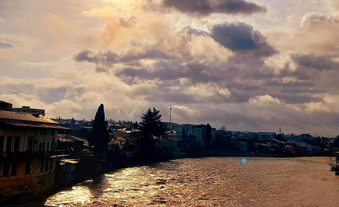 თემურ  ნიკოლაძე: მზის  მოდარაჯე   ფოტოხელოვანი