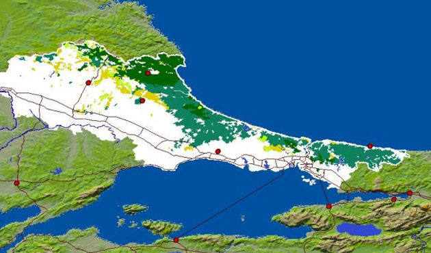 Gürcü Haber Tiflis'te ve İstanbul'da heyecan yaratan projenin detaylarını açıklıyor!