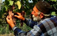 İYİLİK YAPMAMIZ GEREKEN ŞEYLERİN ADIDIR