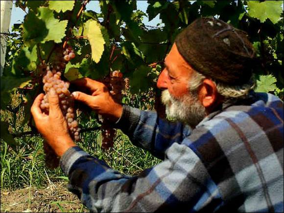İYİLİK YAPMAMIZ GEREKEN ŞEYLERİN ADIDIR