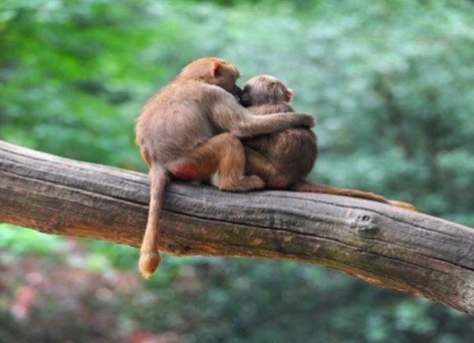 Eduardo Galeano / AŞK