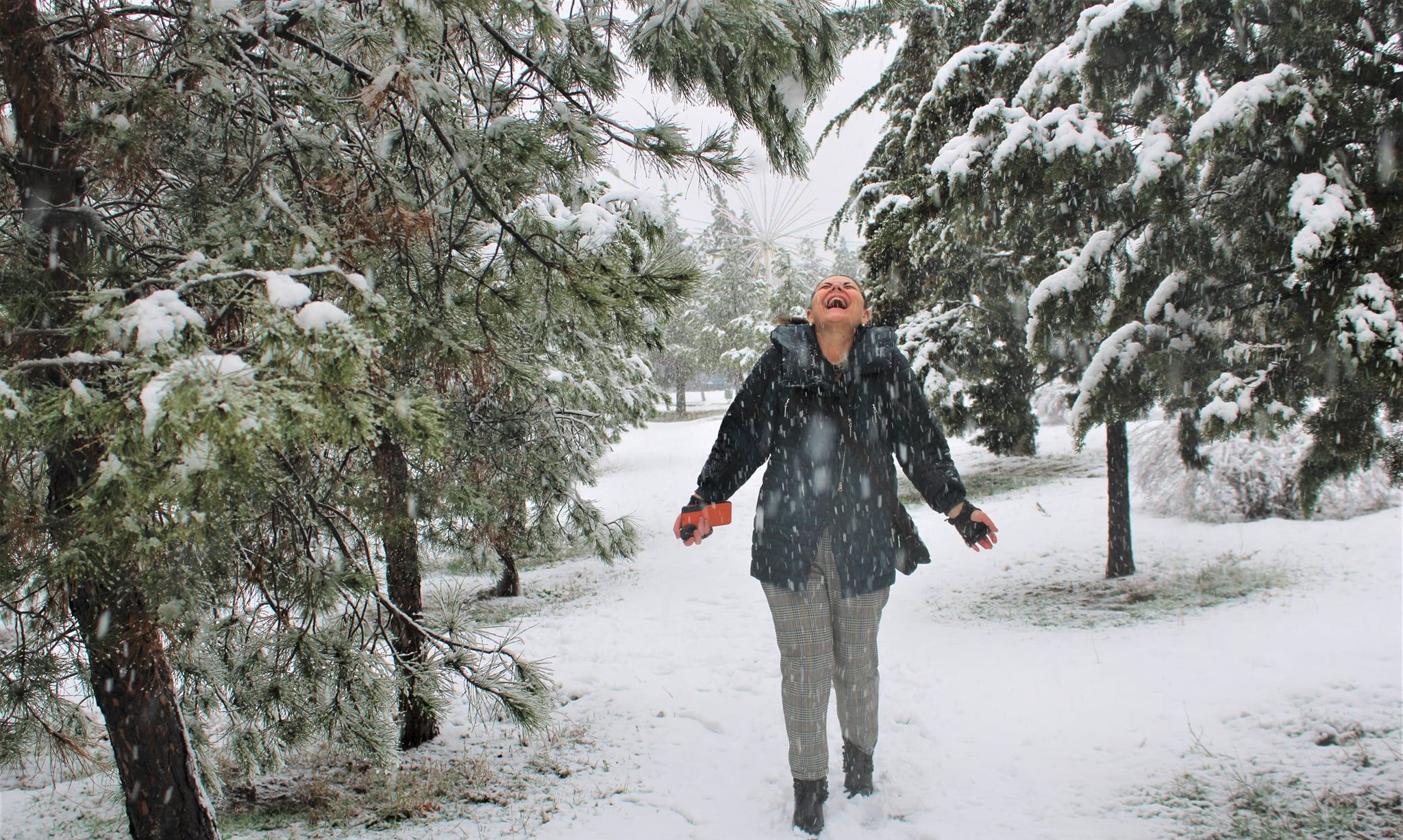 Tsira BARBAKADZE / Türkçesi: Hasan Çelik