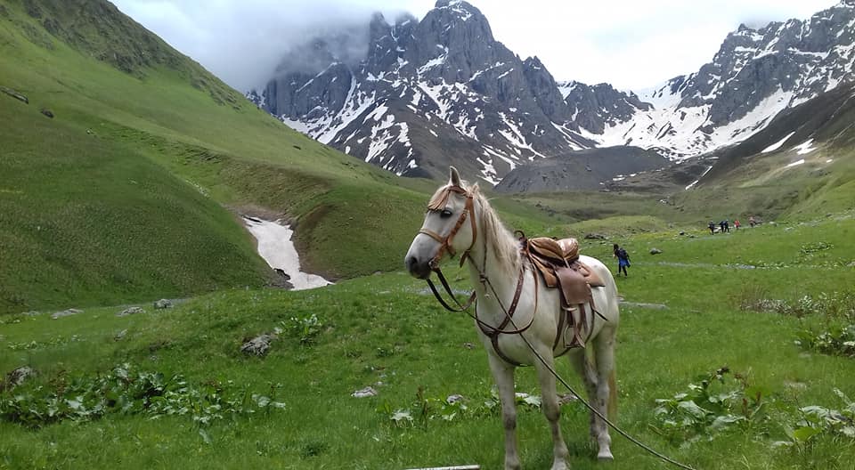 Amiran Arabuli: ისევ წვიმს.ტყვიასავით მძიმეა ცა.