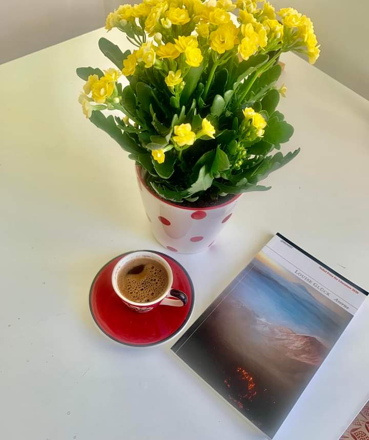 LOUISE GLÜCK/ YANSIMALAR/Çeviri: Neşe Yaşın