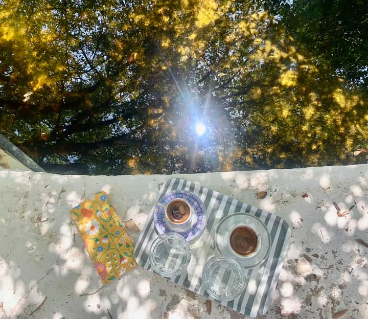 ELIZABETH BISHOP/ ZEKA/ Çeviri: Neşe Yaşın