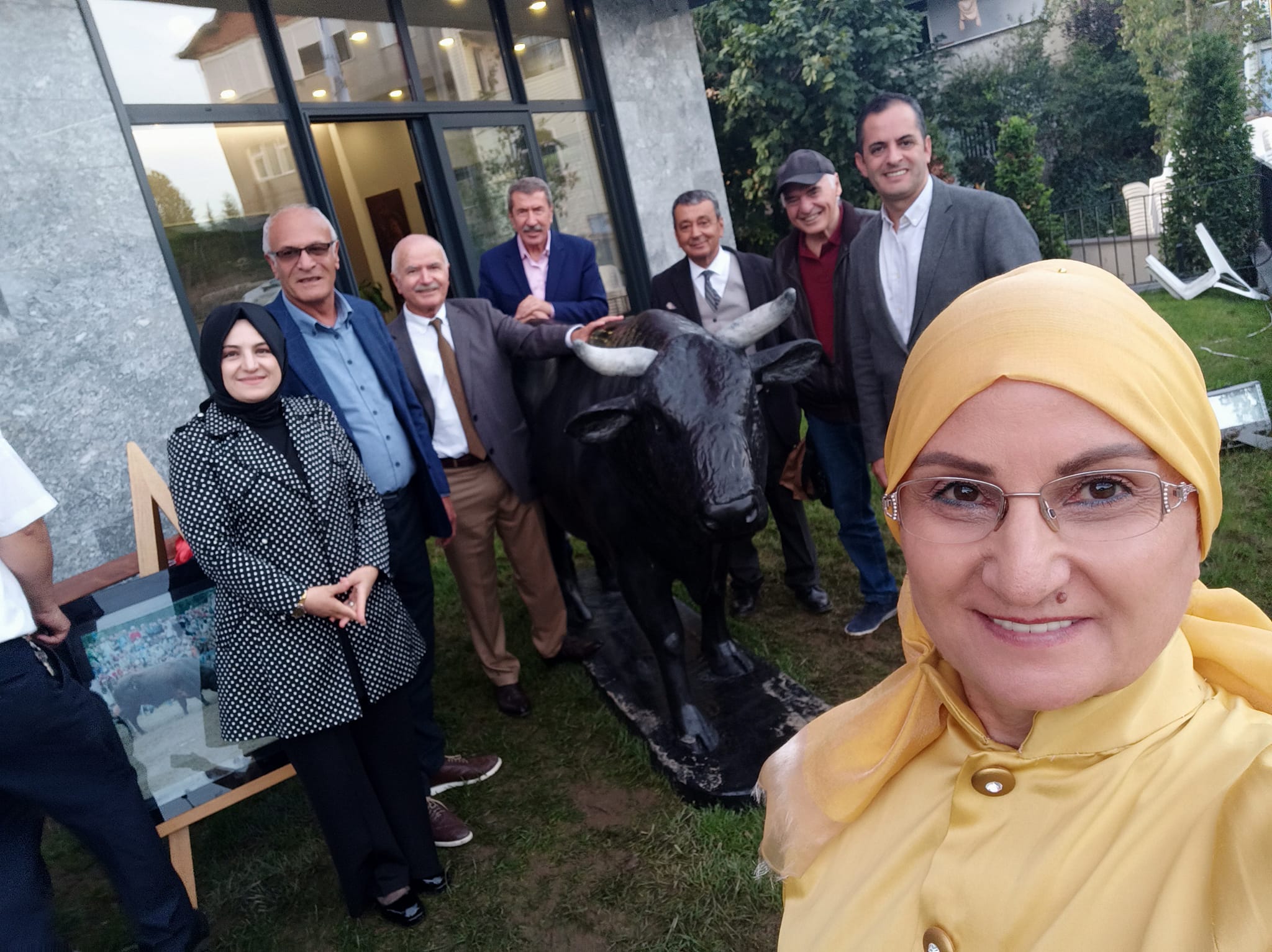 Geleneksel Artvin Boğa Güreşleri Şampiyonu Cilcimli Kahraman'ı İstanbulda!!