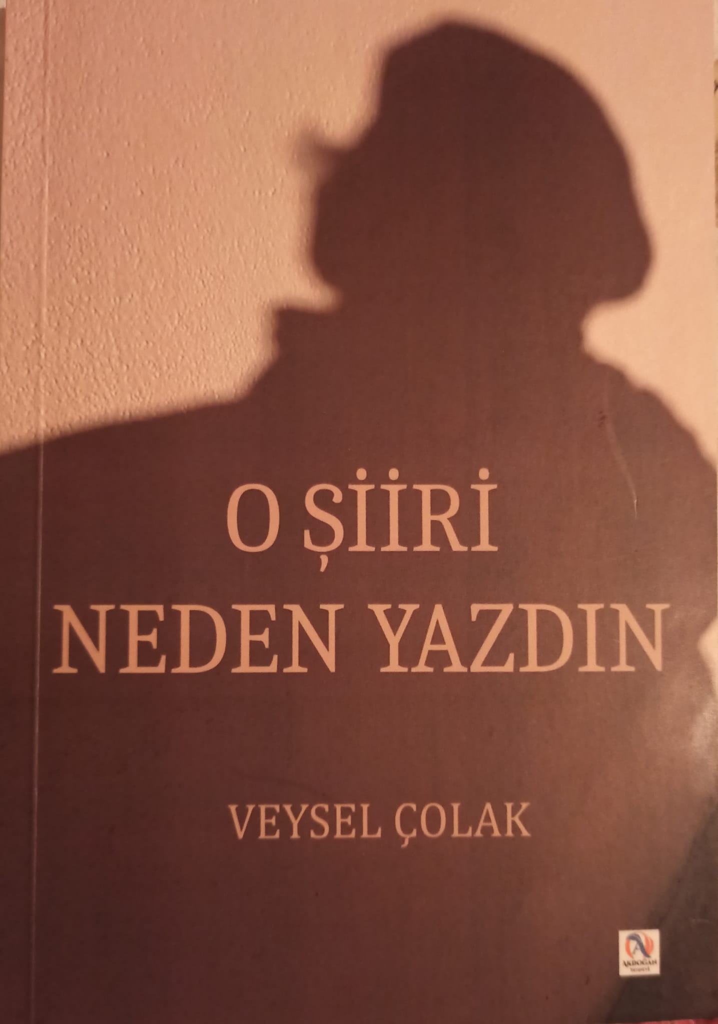 Veysel Çolak: Bir şiiri okuduğunuzda ağzınız burnunuz kırılmış gibi hissetmiyorsanız, ciddiye almayın o şiiri