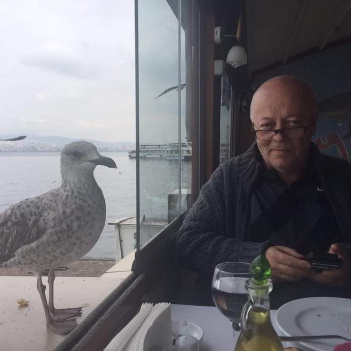 Can Baydarol: SEÇİME DOĞRU