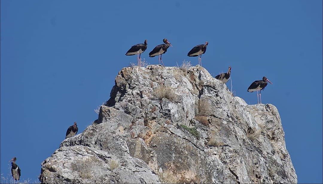 Veysel Çolak: Yazdığınız şiir kaç kişiyi ilgilendiriyor?