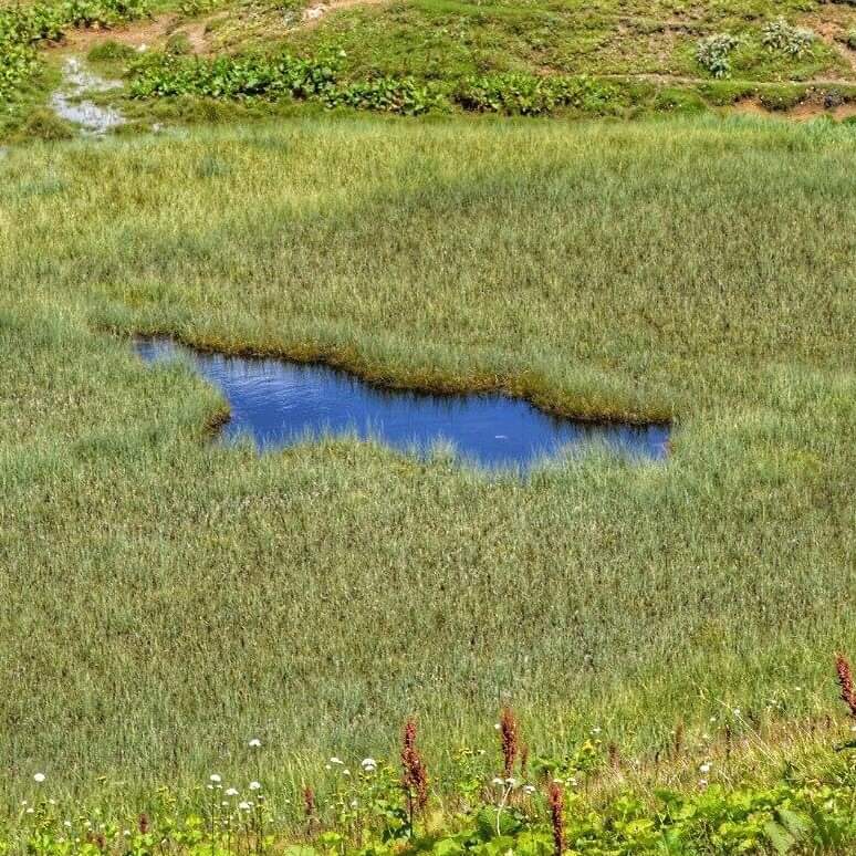 Demur Giorkhelidze: ა ხ ა ლ გ ა ზ რ დ ე ბ ს  მივმართავ,