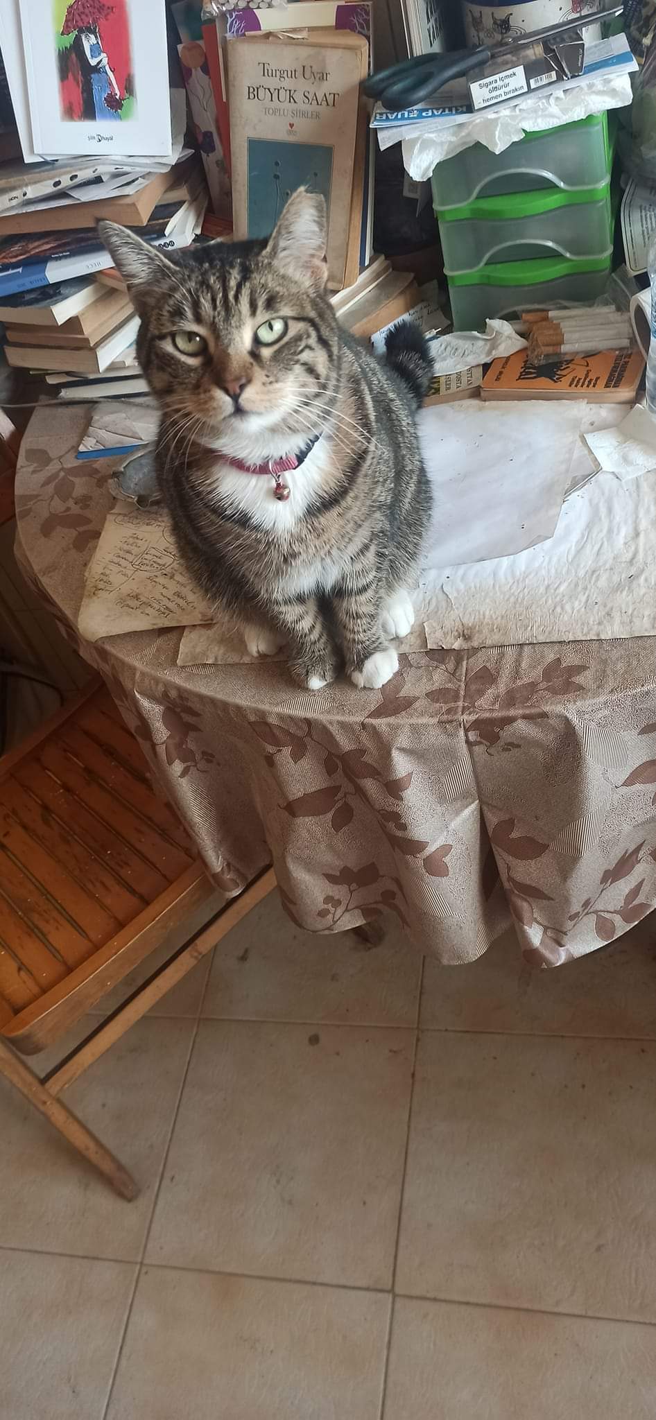 Veysel Çolak: Bulut öyle diyor.