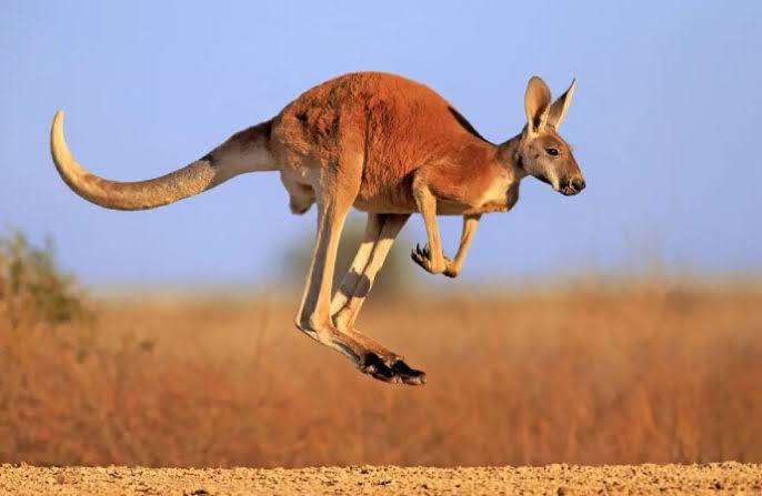 Veysel Çolak: İnsana, sanata, şiire düşman olanların yarattığı cehennem