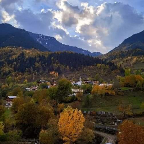 BİR SÖZLÜK DENEMESİ - KOKLİETİ