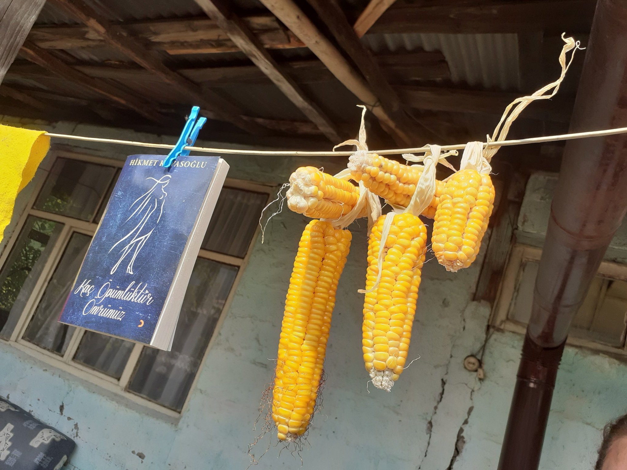 Hikmet Kavasoğlu: Üşüttüm