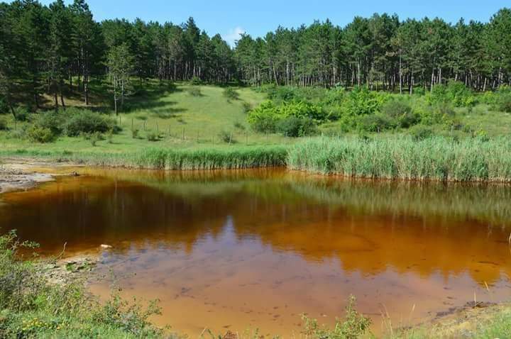 Eka Surameli: სამკურნალო წყალი ხაშურში