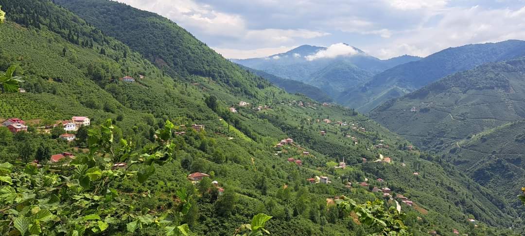 Murat Kasap: Giresun Bulancak Damudere Köyü: Damudere   (Tarihten Sayfalar)