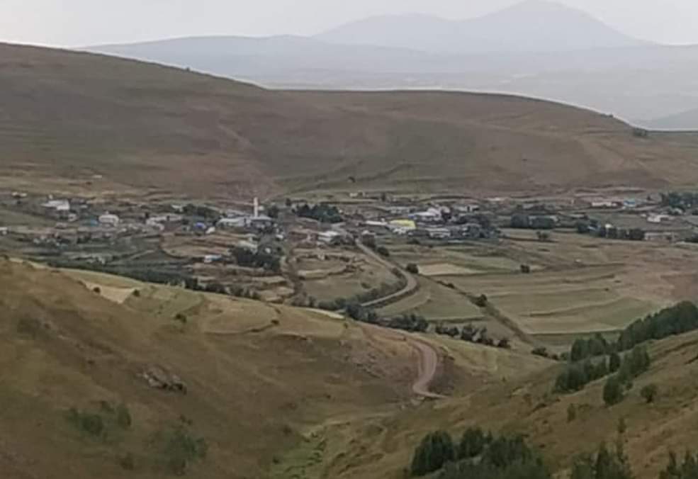 სადაურსა სად წაიყვან…