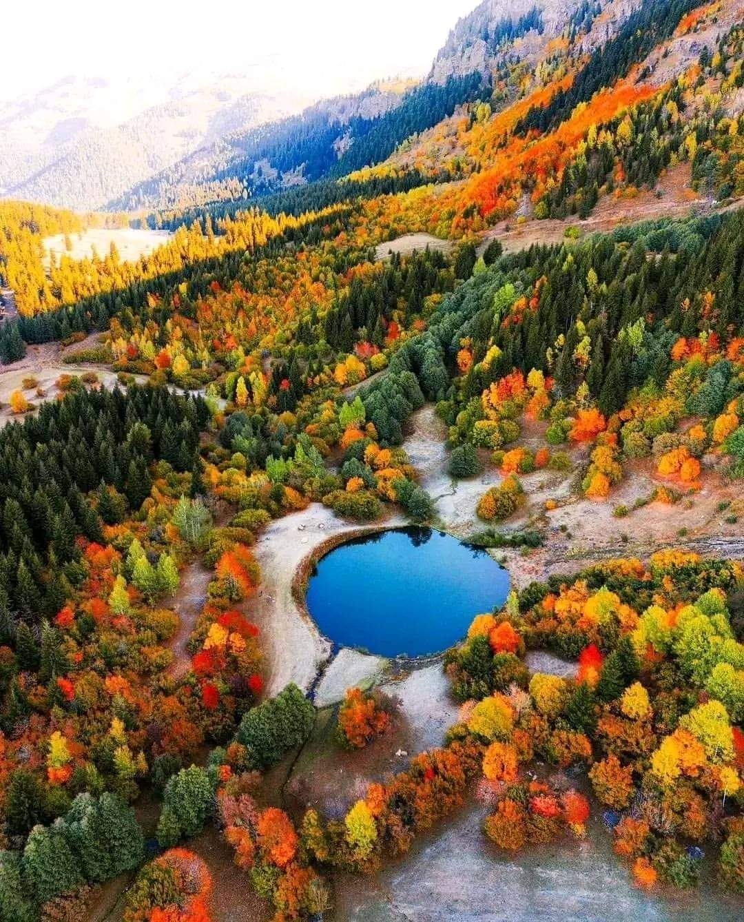 ოზლემ დილა: 