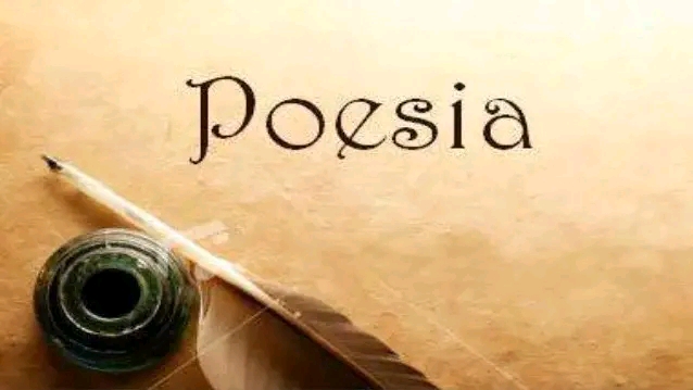 Nina Şahin: POESİA