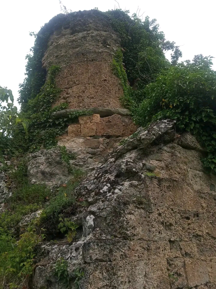 Avtandil Nikoleishvili: გისურვოთ,  ქვეყნის სახელმწიფოებრივი დამოუკიდებლობის აღდგენის დღე,