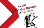 VEYSEL ÇOLAK:  SEN KUŞ SESLERİ BİRİKTİR