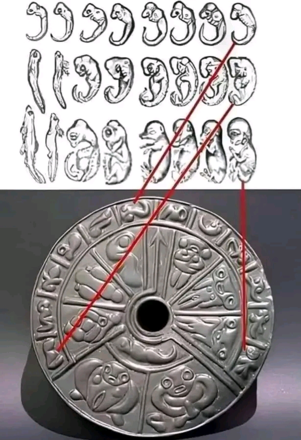 გენეტიკური დისკი – სამხრეთ ამერიკის უჩვეულო არტეფაქტი