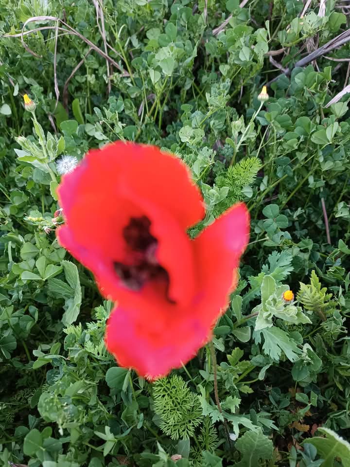 Hüseyin Aktaş: Oyalanırsam üşüyeceğim