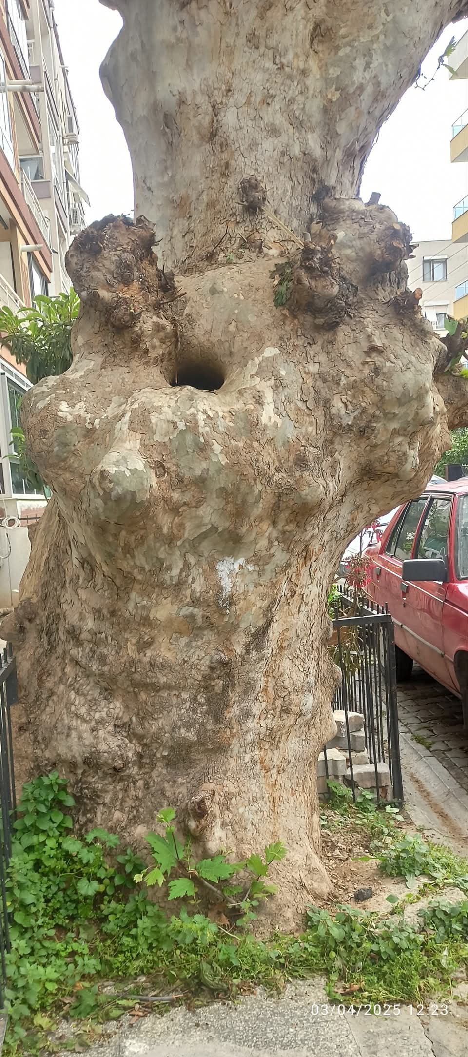 Veysel Çolak: UZAKLIK YANGINI