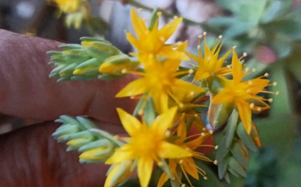 Veysel Çolak: Seçtiğiniz Neyse O'sunuz