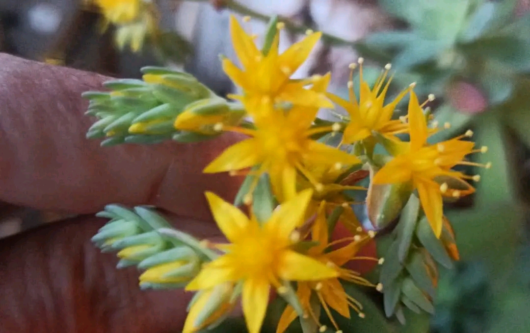 Veysel Çolak: Seçtiğiniz Neyse O'sunuz