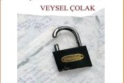 Veysel Çolak: BİR ŞİİRİN KAPILARI BİR ŞİİRE NEREDEN GİRİLİR?