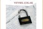 Veysel Çolak: BİR ŞİİRİN KAPILARI  BİR ŞİİRE NEREDEN GİRİLİR?