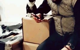 Özgür Gürbüz: Umudunu kaybetme