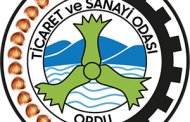 Kafkas Gürcü Kültür Derneği O T O seçim kutlaması